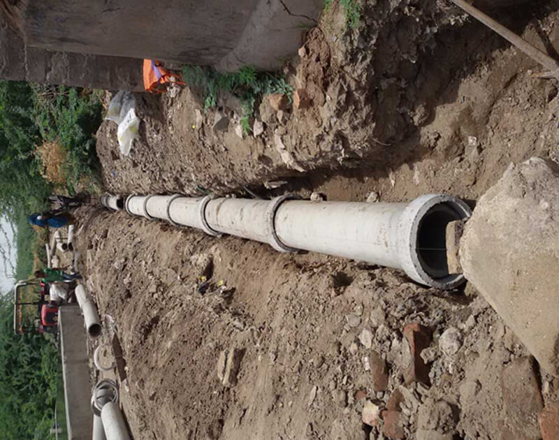 CSR Activity of Dev Wetland