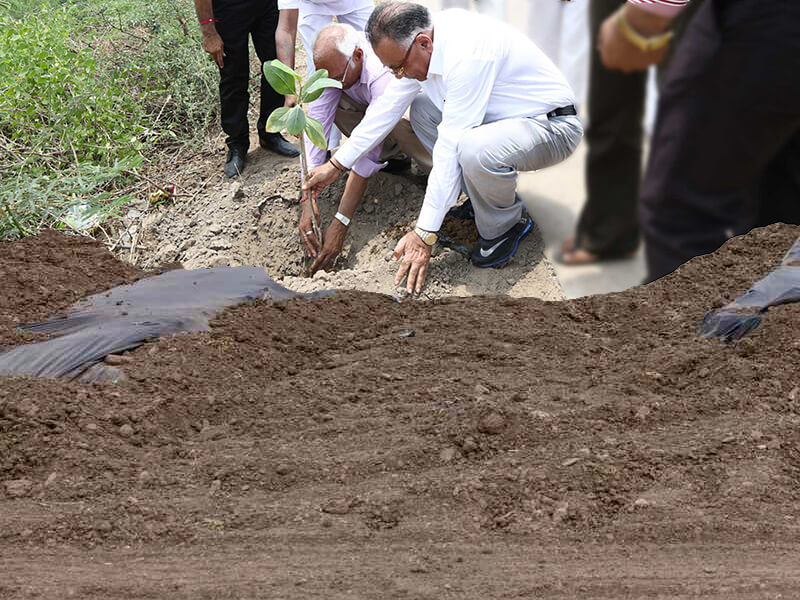 CSR Activity of Dev Wetland