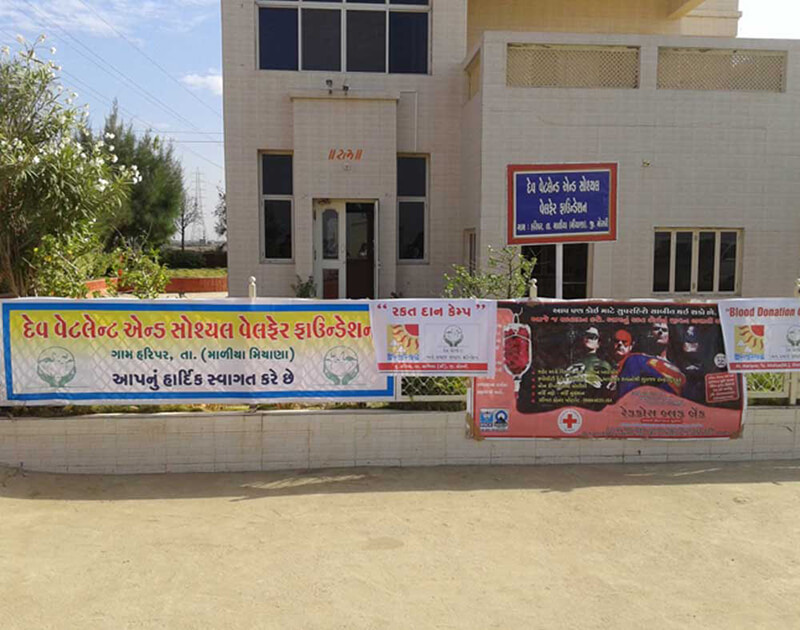 CSR Activity of Dev Wetland