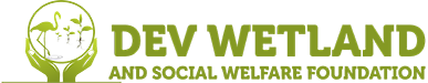 Dev Wetland